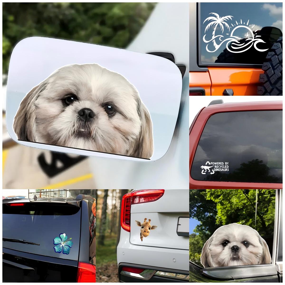 Elephant Snowboarder Car Eye C - Laptop Accessories You Must Have review and price