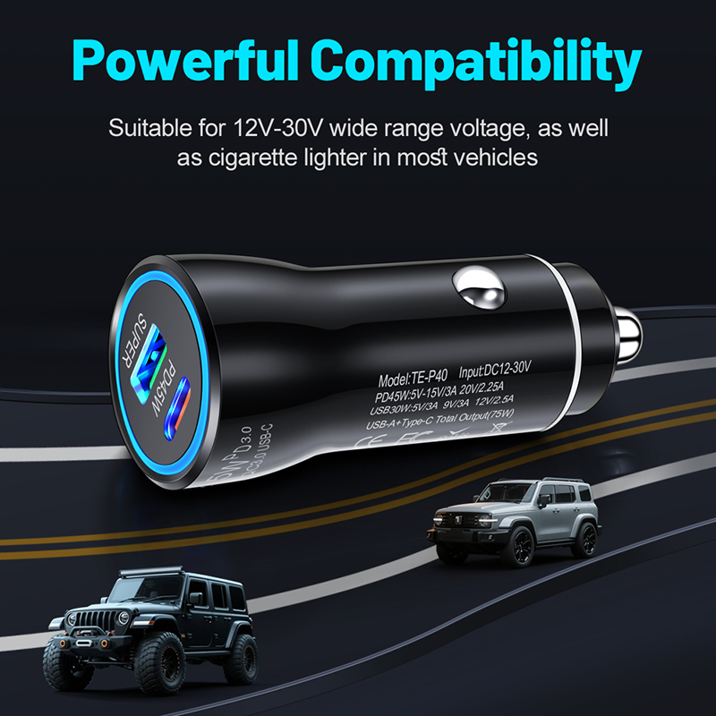 Dual Port 45W USB C Car Charge - Usb C Power Adapter review and price